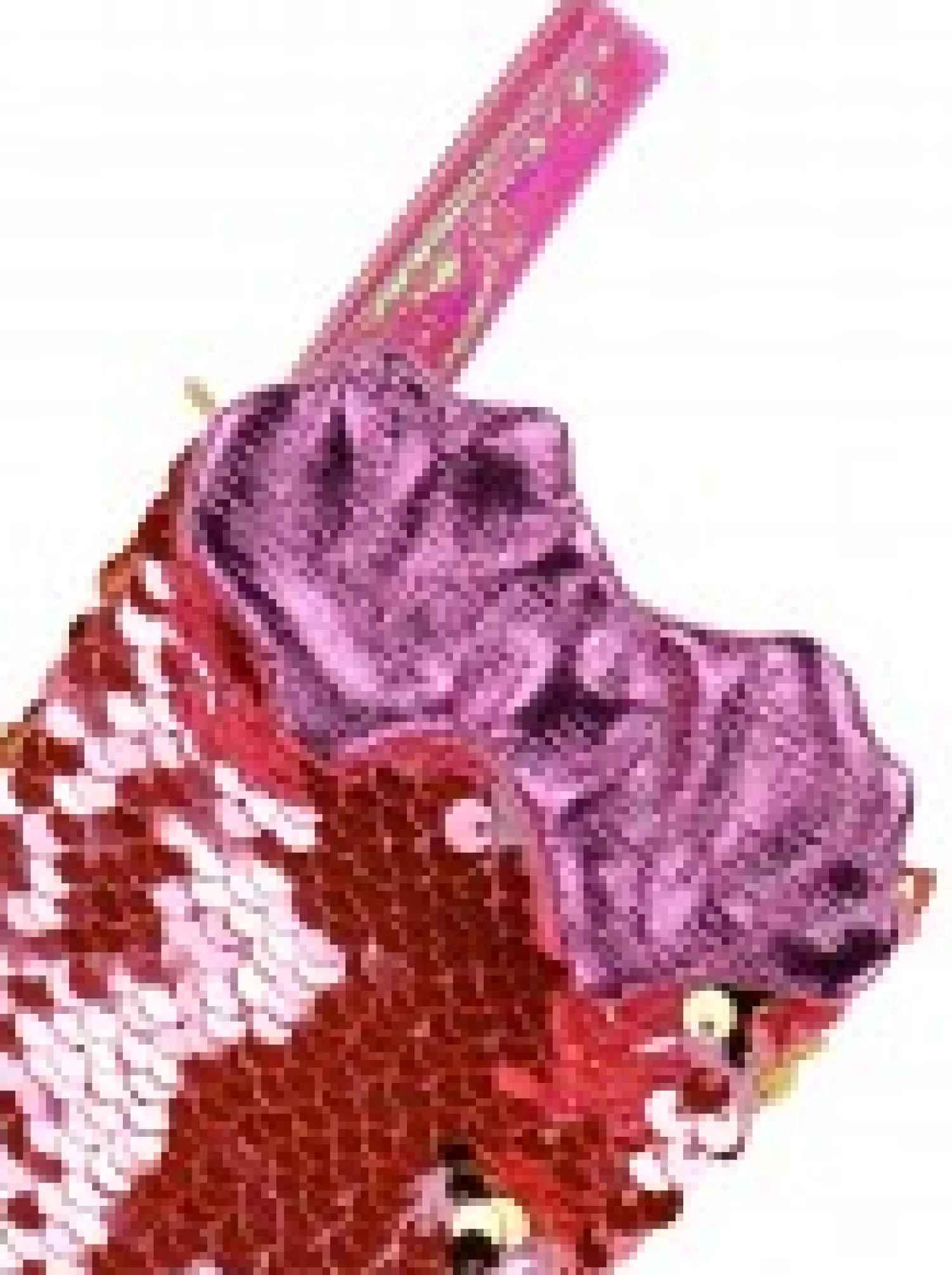 Christmas Warehouse Mini Mermaid Tail With Pink Sequins Christmas Stockings - 3 X 20Cm> Christmas Stockings