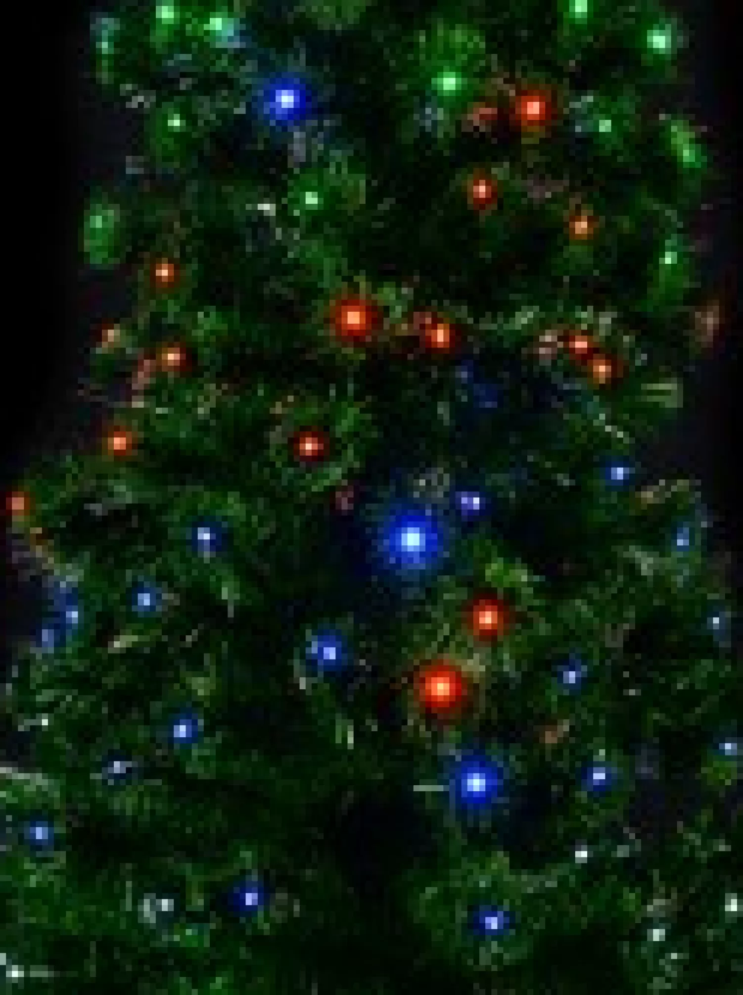 Christmas Warehouse Multi Colour Led & Fibre Optic Christmas Tree With 200 Tips & Bulbs - 1.8M> Fibre Optic Christmas Trees