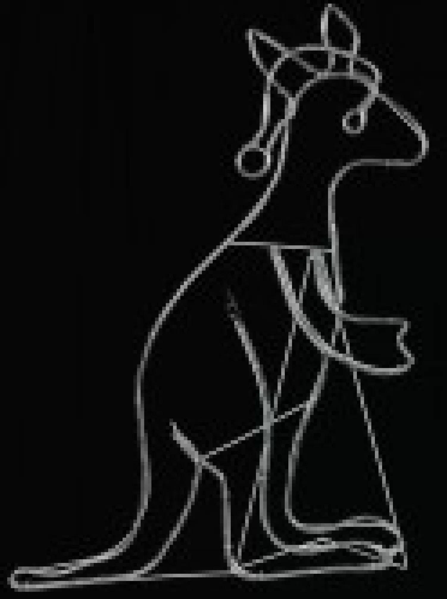 Christmas Warehouse Multi Colour Led Buru The Christmas Kangaroo Light Display Silhouette - 1.1M> Christmas Light Displays