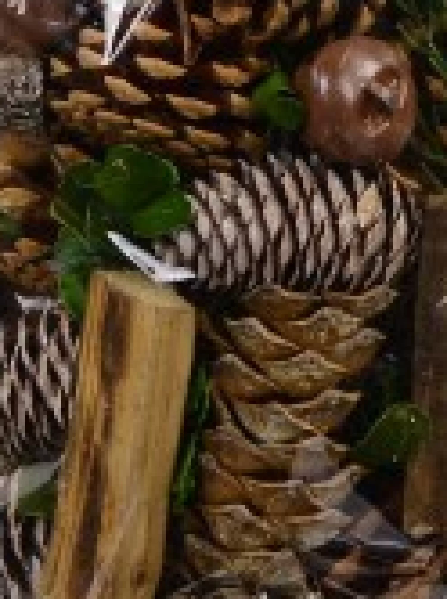 Christmas Warehouse Natural Pine Cones, Wood Chunks, Stars, Bells & Berries Decoration Mix - 400G> Natural Christmas Decorations