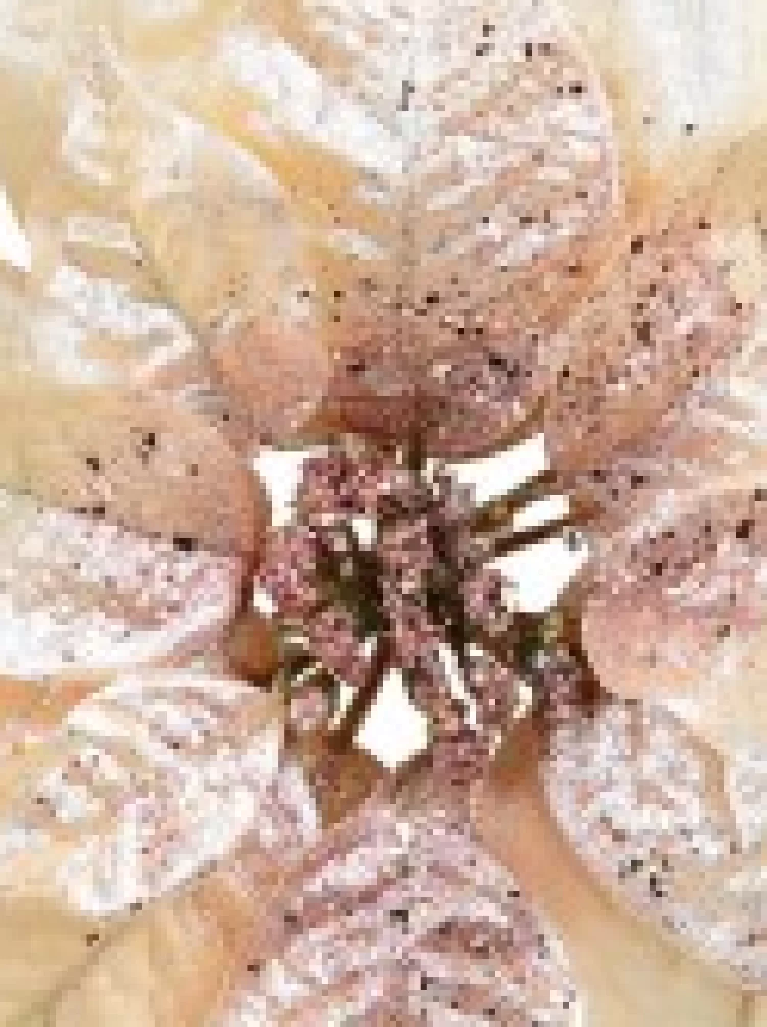 Christmas Warehouse Peach Pink With Rose Gold Poinsettia Decorative Christmas Flower Pick - 22Cm> Christmas Picks