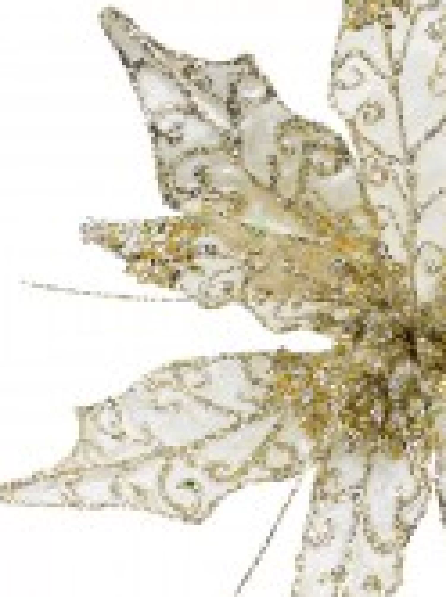 Christmas Warehouse Pearl Velvet & Metallic Sheer Cactus Decorative Christmas Flower Pick - 22Cm> Christmas Picks