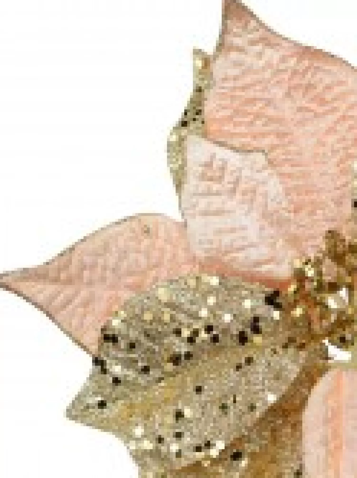 Christmas Warehouse Pink & Gold Two Petal Style Poinsettia Decorative Christmas Flower Pick - 28Cm> Christmas Picks
