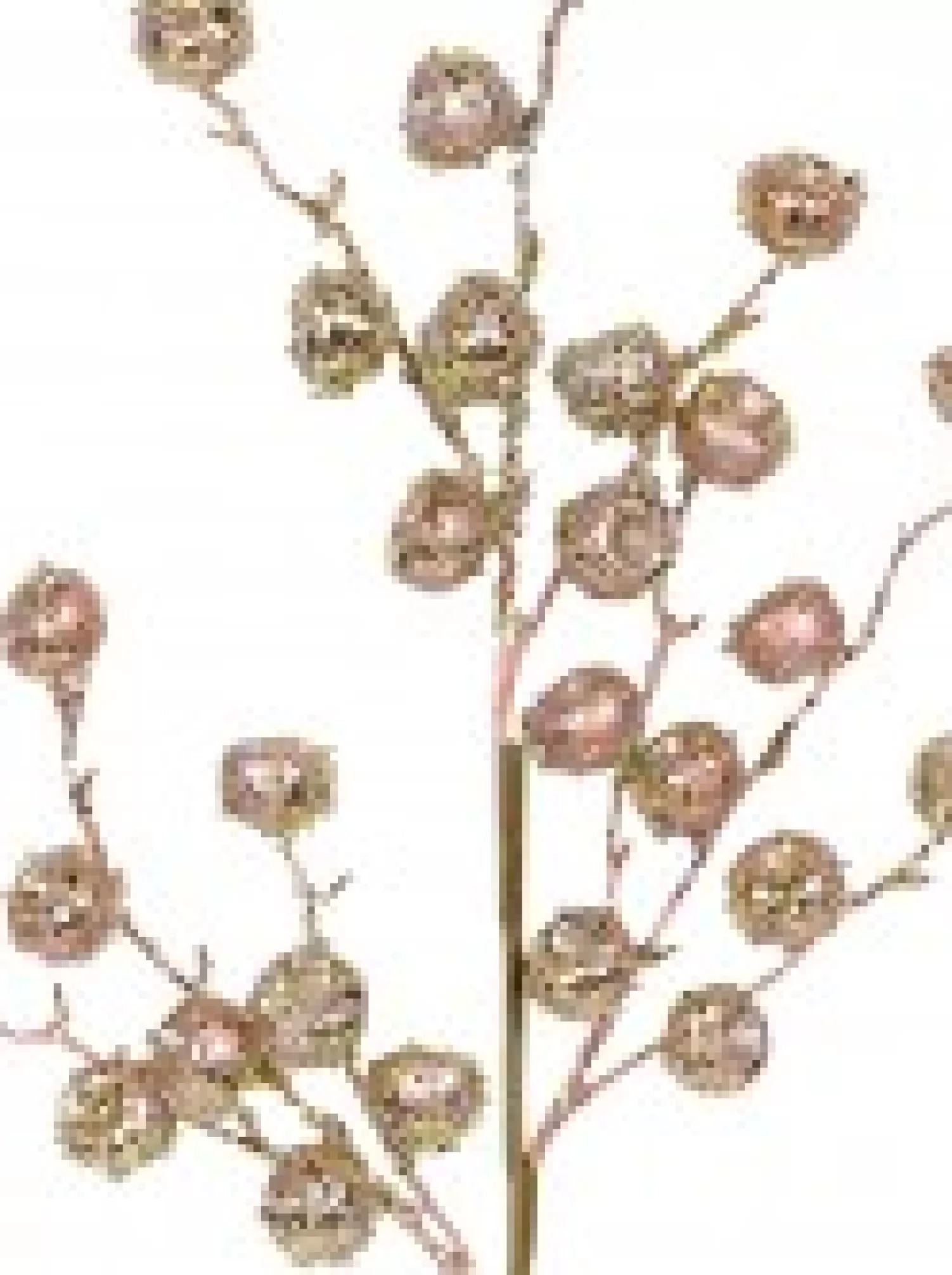 Christmas Warehouse Pink Glitter Large Berries Decorative Christmas Spray Stem - 51Cm> Christmas Stems