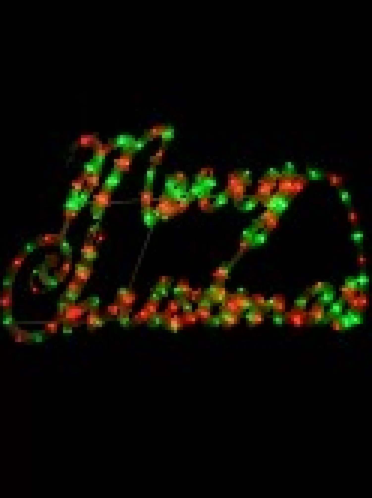 Christmas Warehouse Red & Green Cursive Merry Christmas Led Rope Light Silhouette - 72Cm> Christmas Light Displays