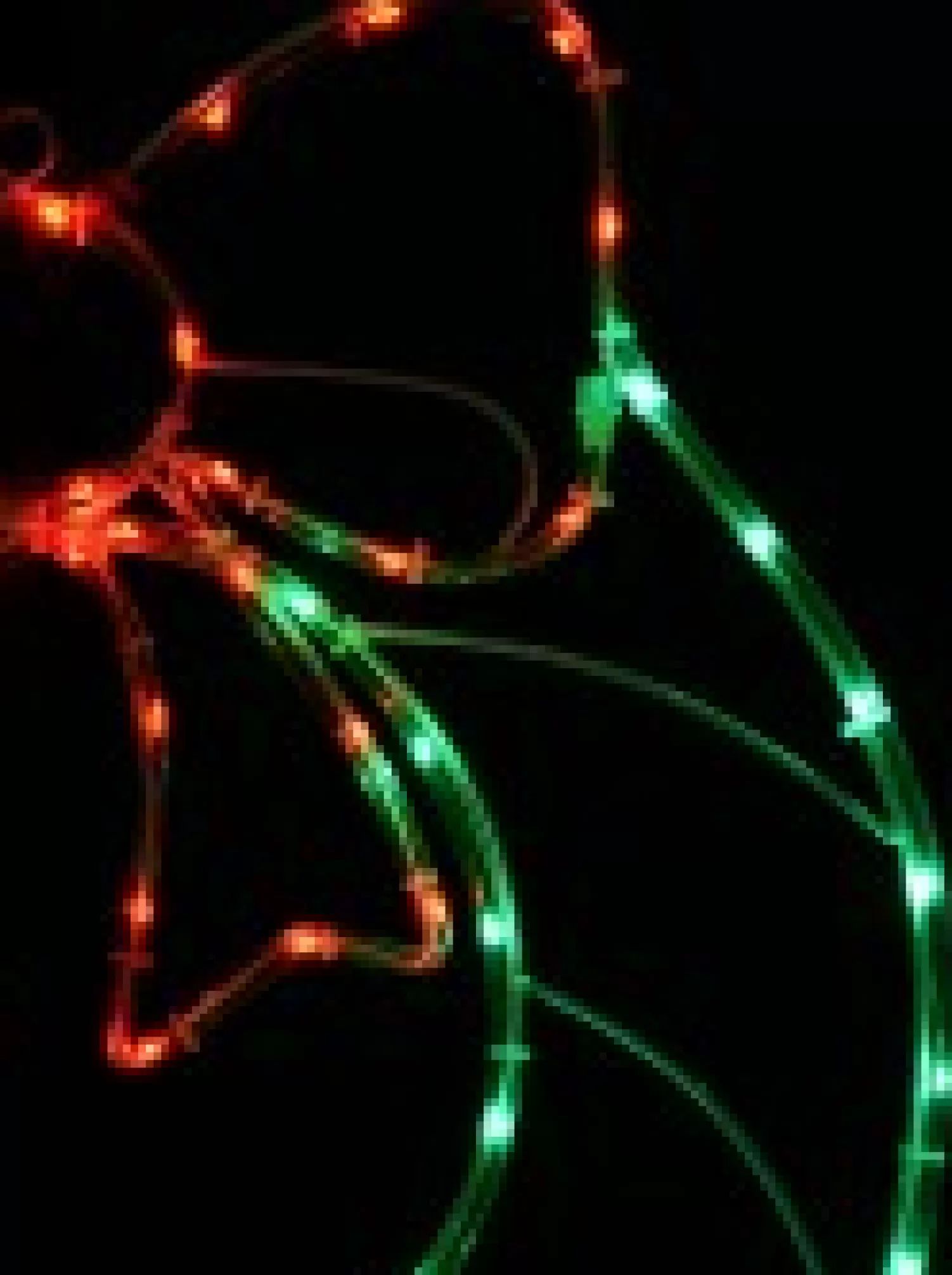 Christmas Warehouse Red & Green Led Wreath With Bow Noodle Rope Light Silhouette - 50Cm> Christmas Light Displays