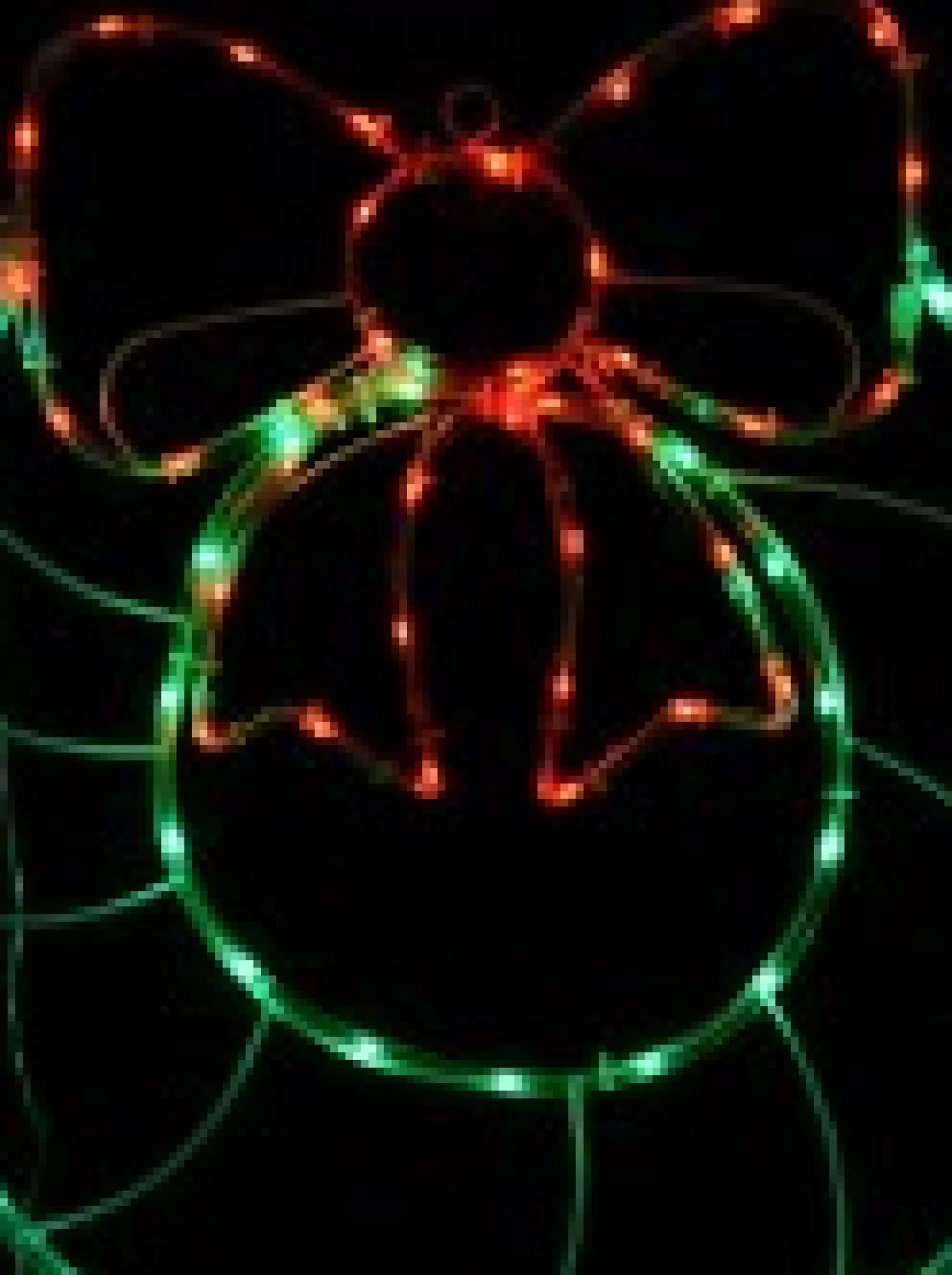 Christmas Warehouse Red & Green Led Wreath With Bow Noodle Rope Light Silhouette - 50Cm> Christmas Light Displays