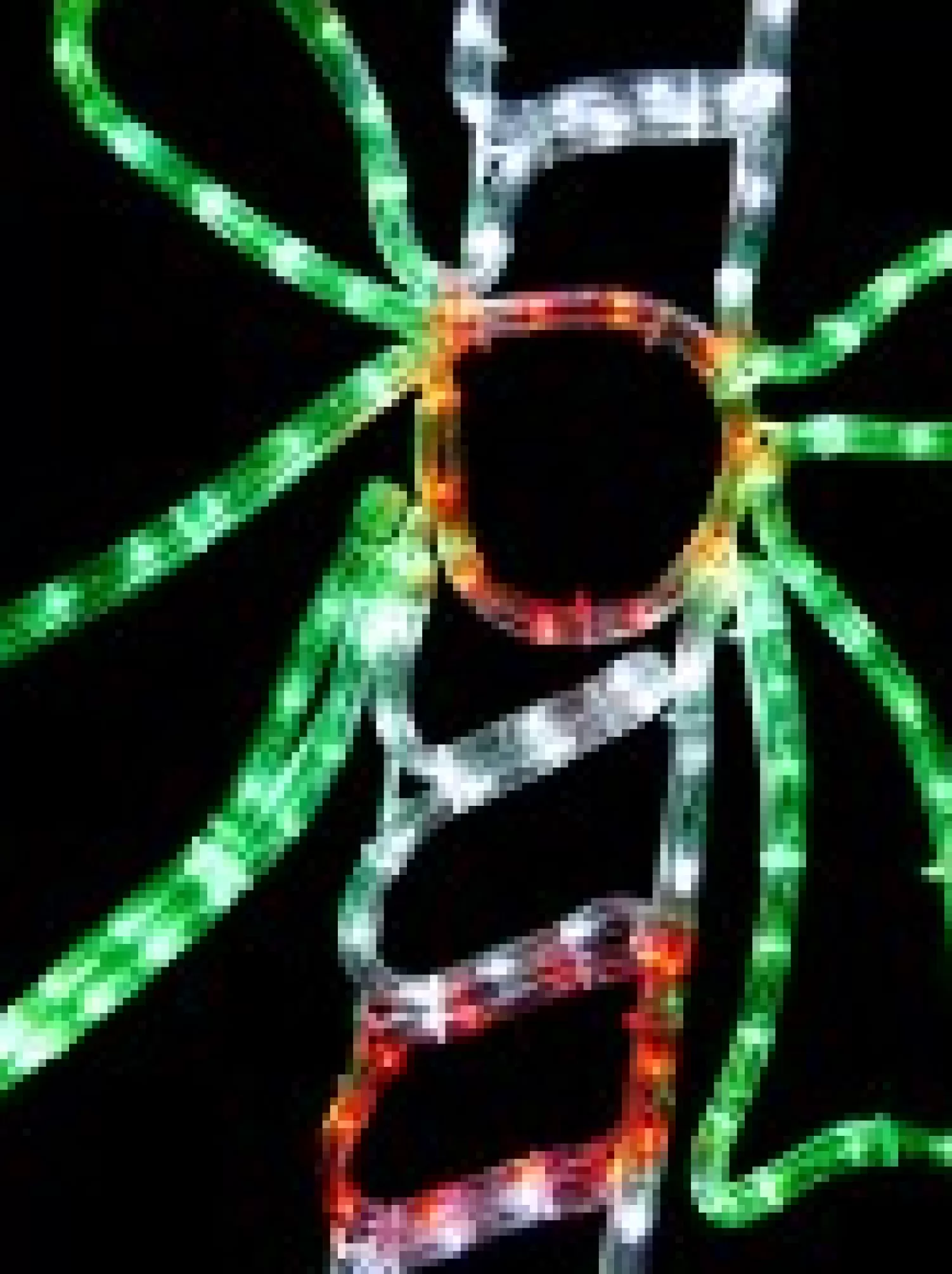 Christmas Warehouse Red & White With Green Candy Cane Led Rope Light Silhouette - 80Cm> Christmas Light Displays