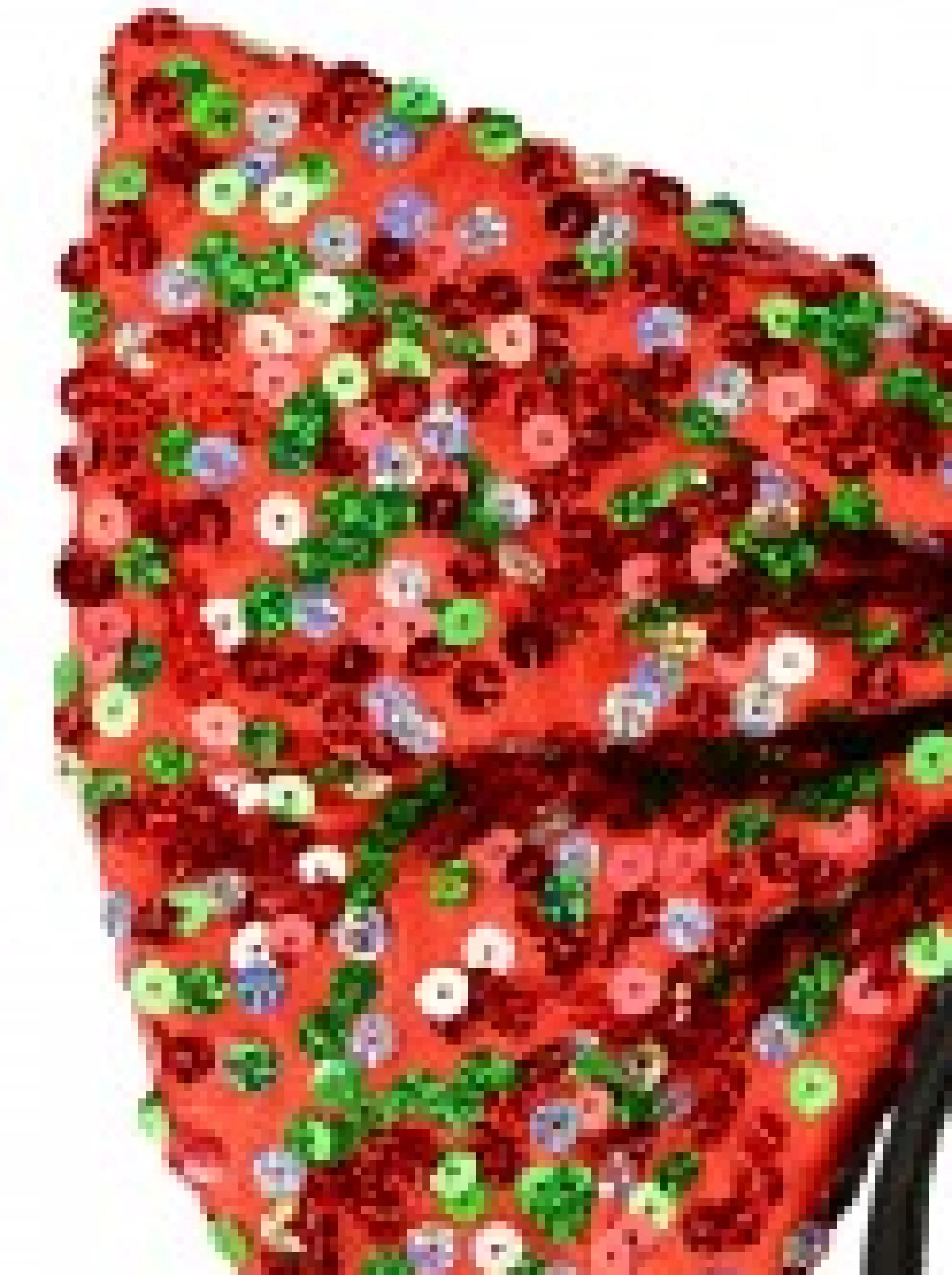 Christmas Warehouse Red Christmas Bow Headband With Three Colour Sequins - One Size Fits Most> General Headwear