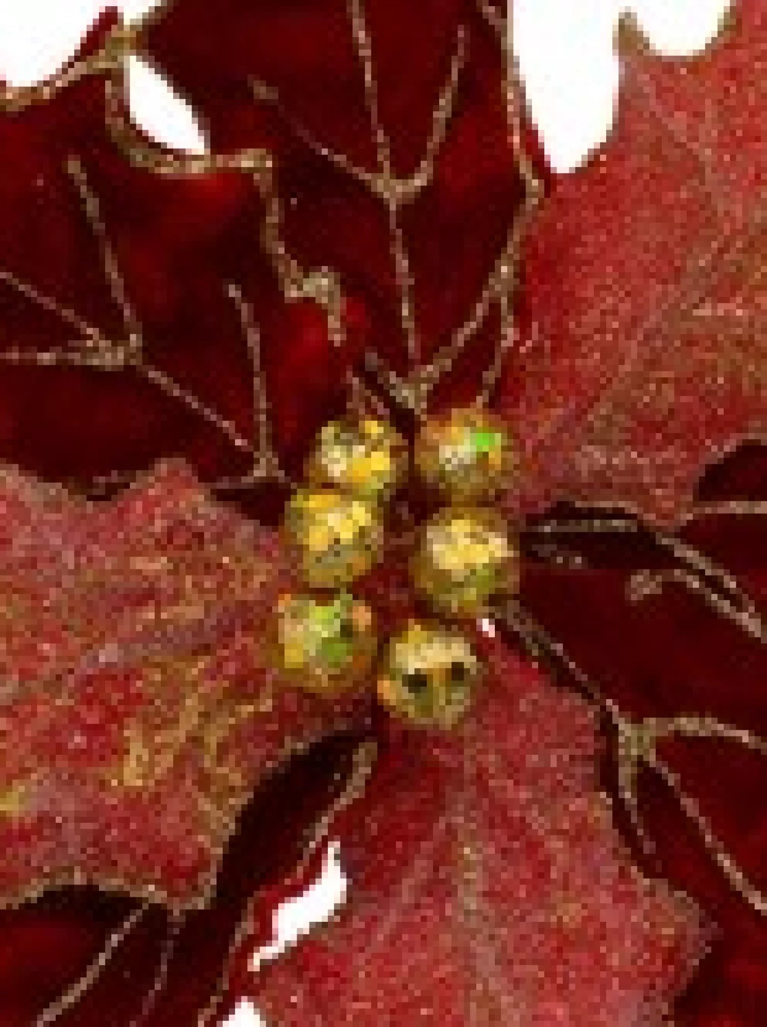 Christmas Warehouse Red Glitter Felt Two Petal Style Poinsettia Christmas Flower Pick - 28Cm> Christmas Picks