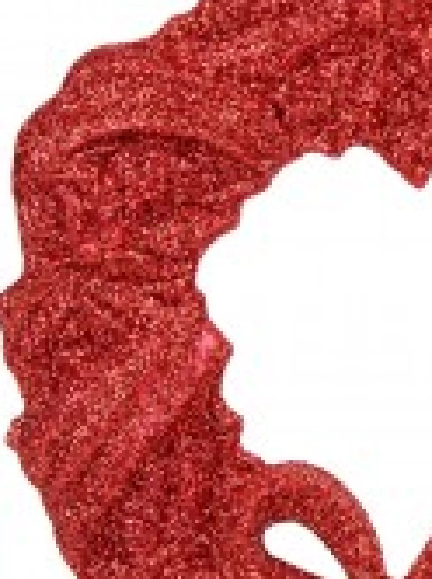 Christmas Warehouse Red Glitter Wreath With Bow Christmas Tree Hanging Decoration - 12Cm> Hanging Decorations - Individual