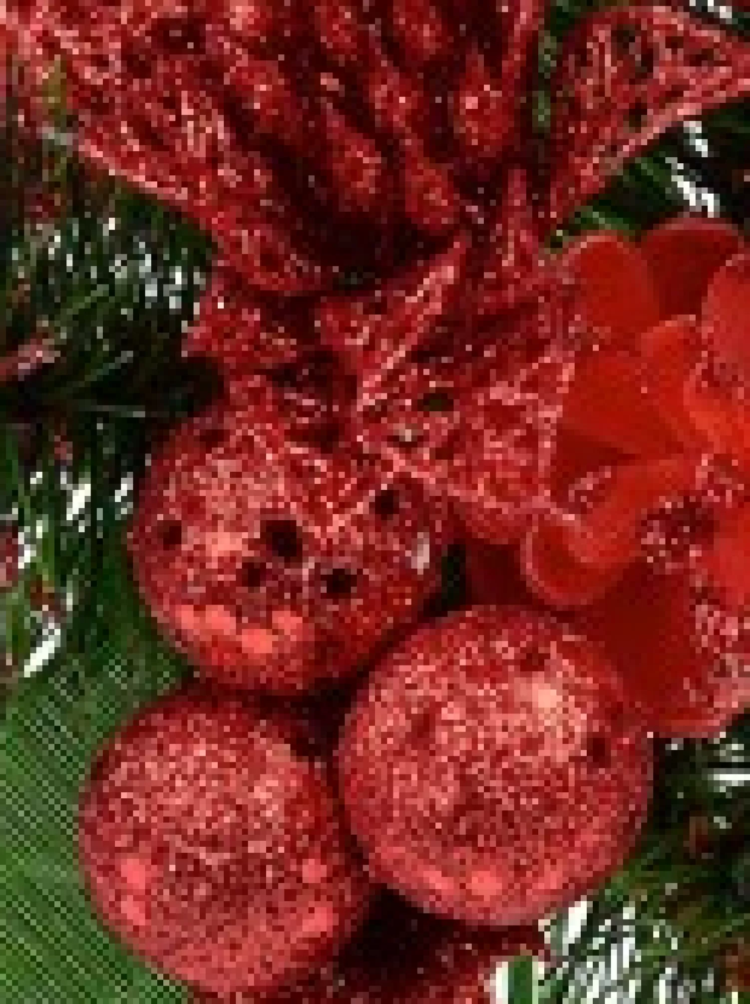 Christmas Warehouse Red Glittered Berry, Holly & Assorted Decorations Christmas Foliage Pick - 17Cm> Christmas Picks