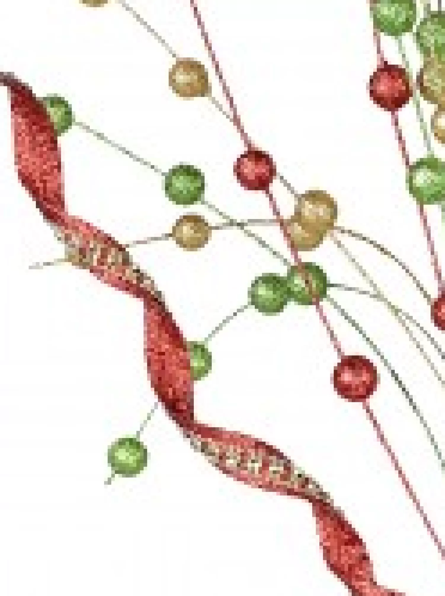 Christmas Warehouse Red, Green & Gold Glitter Balls & Curls Decorative Christmas Spray Stem - 72Cm> Christmas Stems