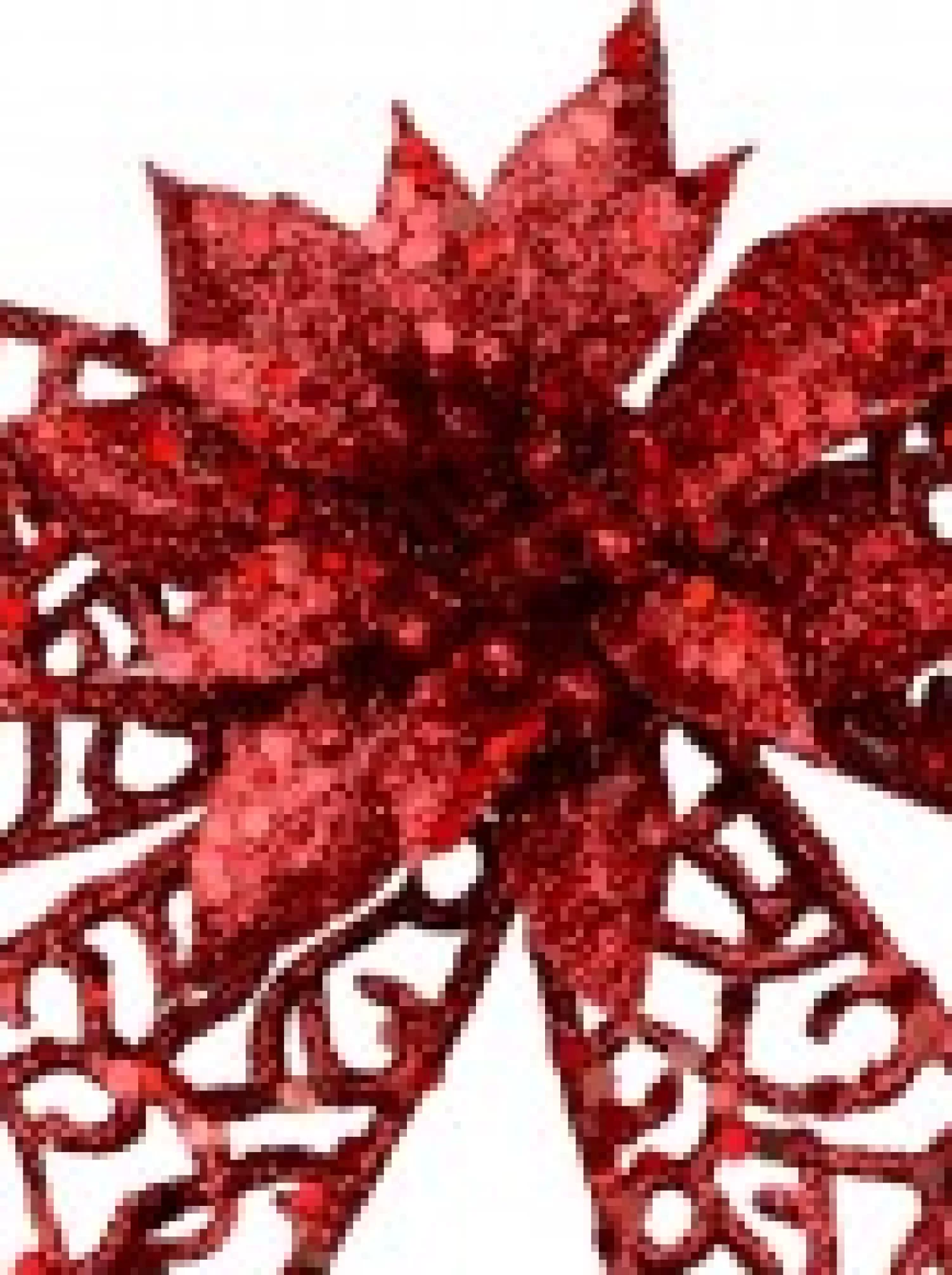 Christmas Warehouse Red Mesh Look Ribbon Bow & Poinsettia Christmas Decoration - 15Cm> Christmas Bows