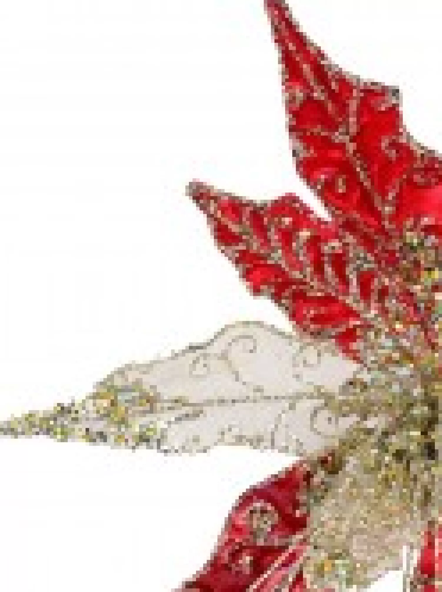 Christmas Warehouse Red Velvet & Metallic Sheer Cactus Decorative Christmas Flower Pick - 22Cm> Christmas Picks