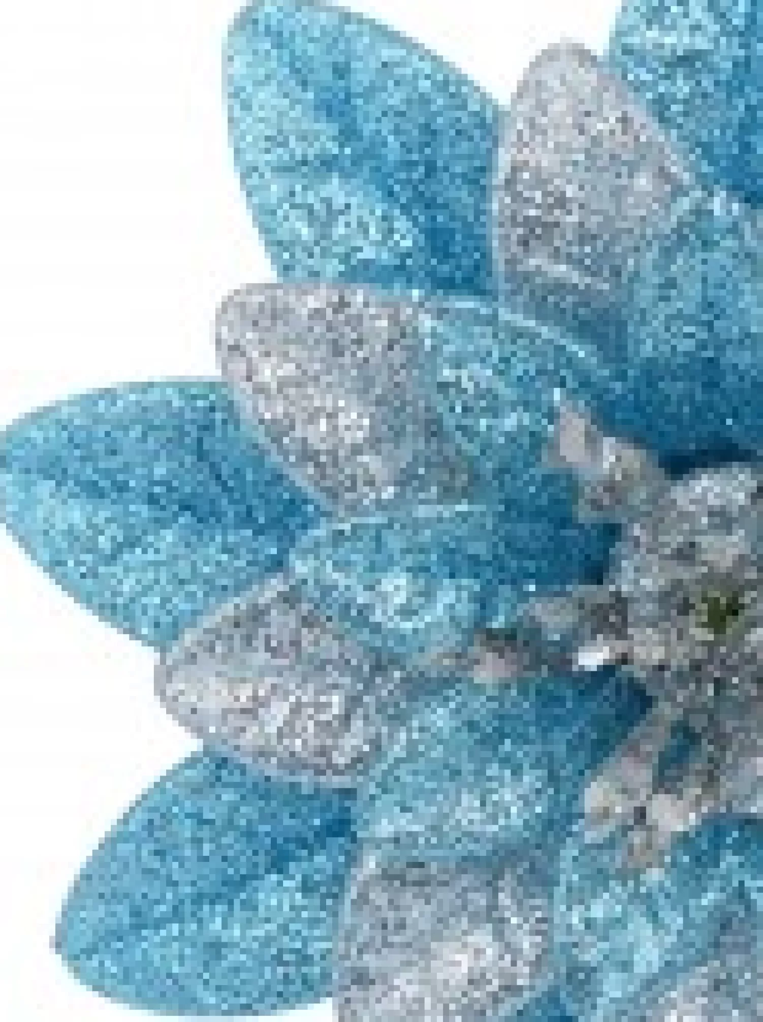 Christmas Warehouse Silver & Blue Glittered Lotus Flower Christmas Tree Hanging Decoration - 11Cm> Hanging Decorations - Individual