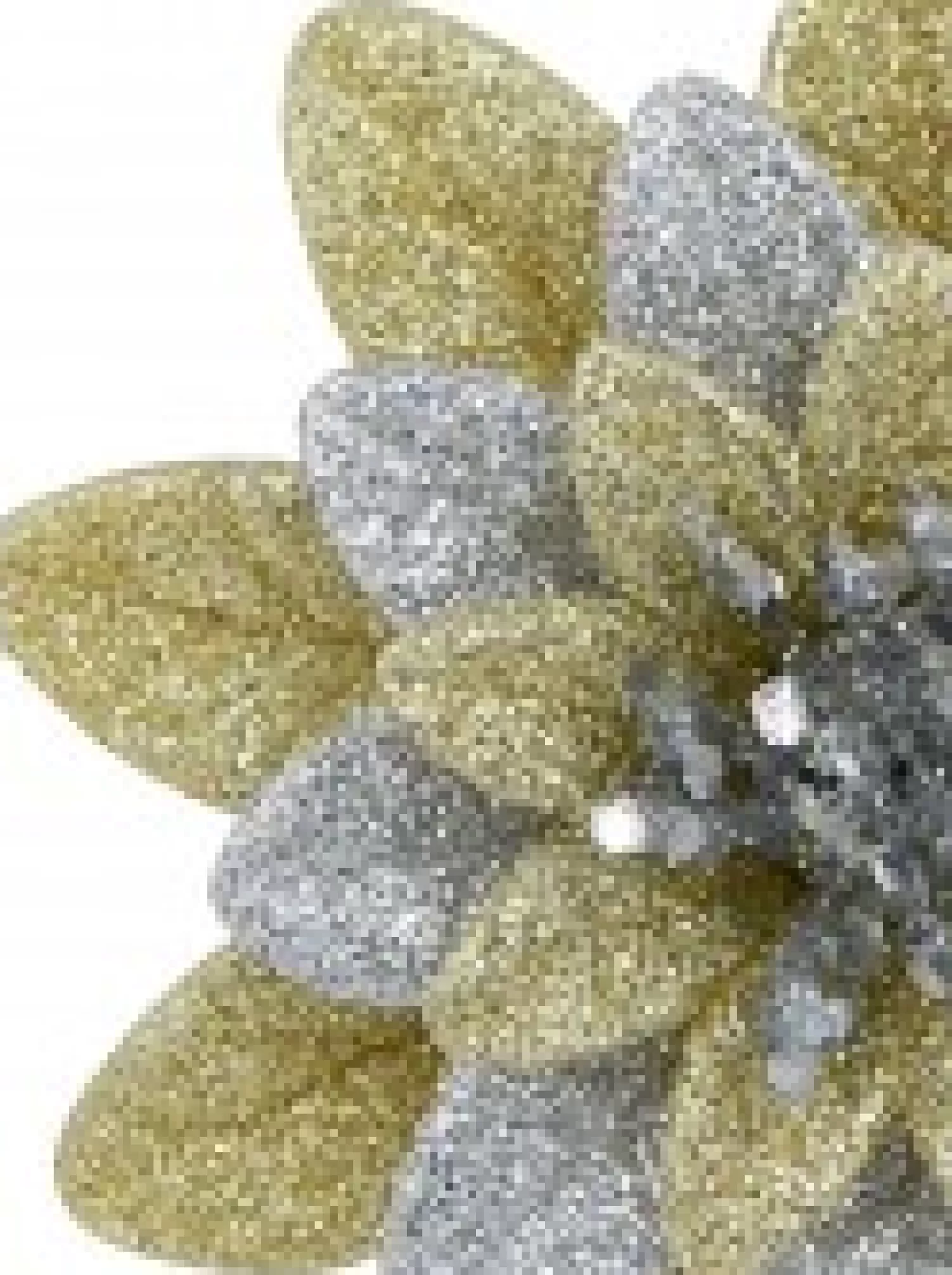 Christmas Warehouse Silver & Gold Glittered Lotus Flower Christmas Tree Hanging Decoration - 11Cm> Hanging Decorations - Individual