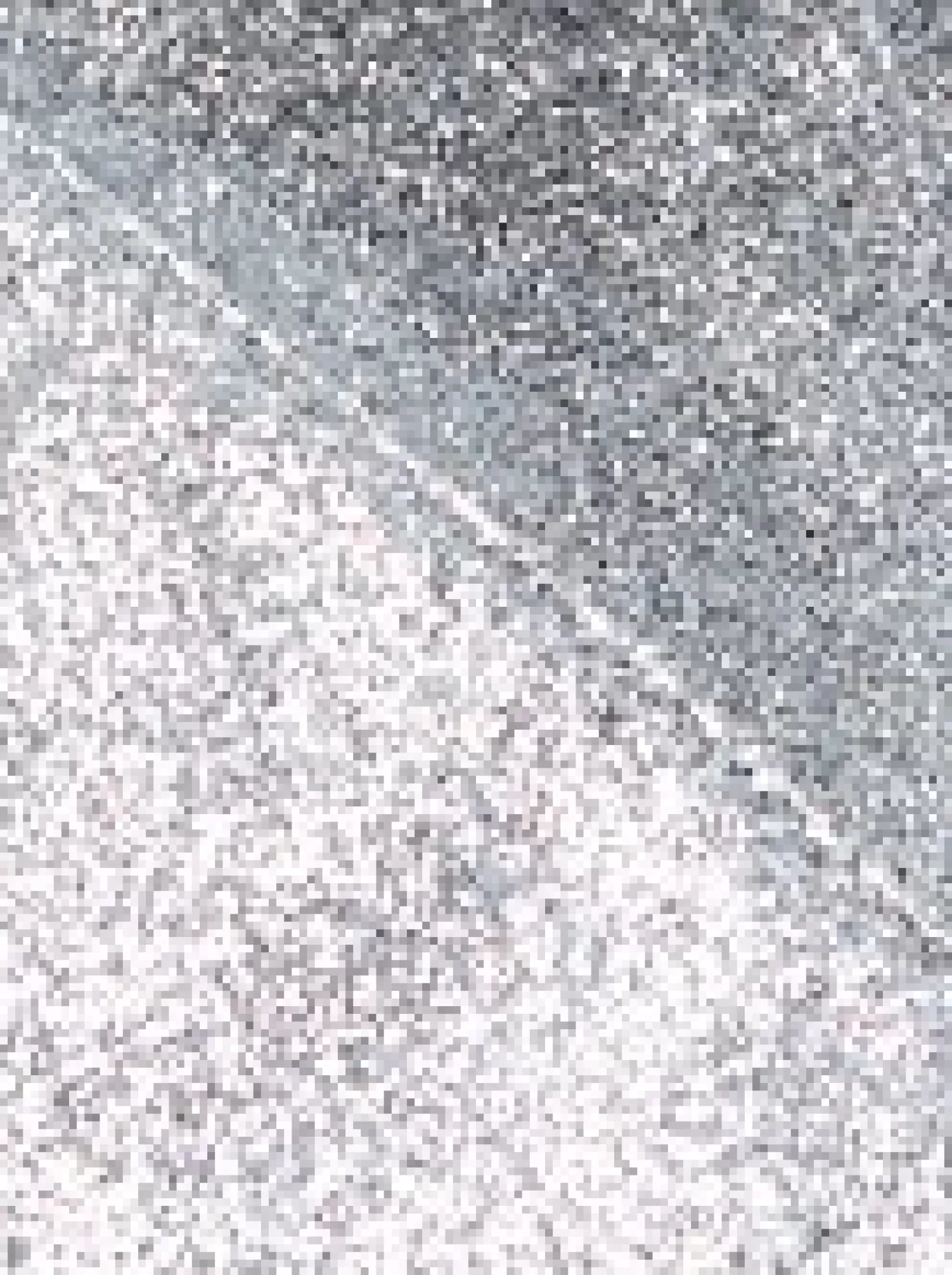 Christmas Warehouse Silver Glitter & Flecks Christmas Ribbon With Silver Glitter Edging - 3M> Christmas Ribbon
