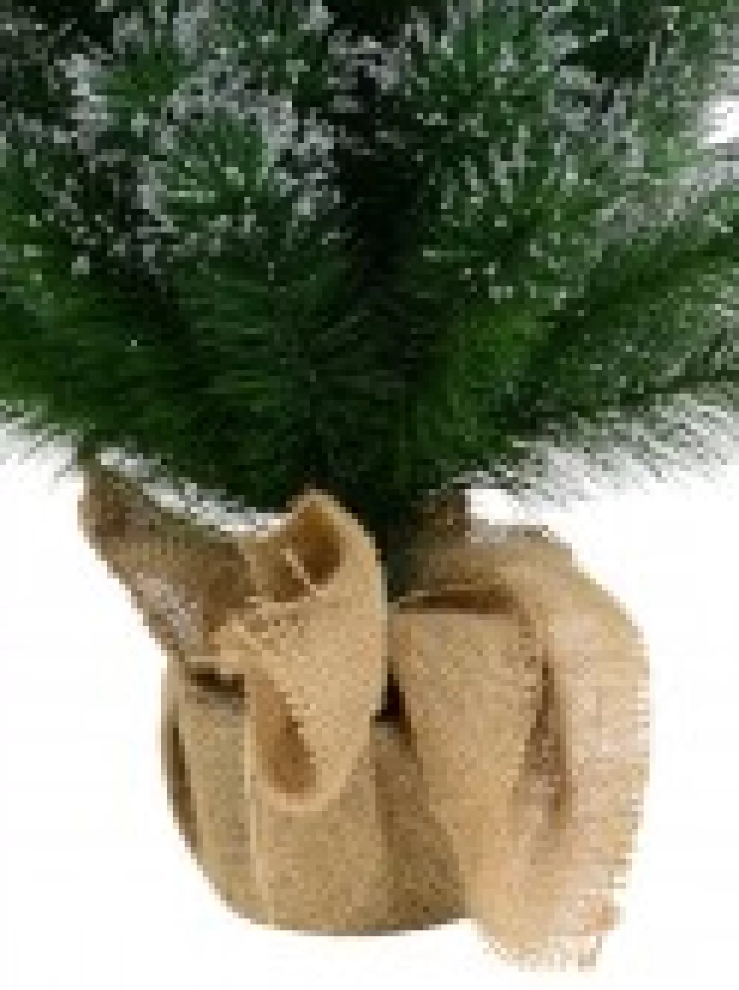 Christmas Warehouse Silver Glittered Needle Tip Pine Tabletop Christmas Tree With 96 Tips - 90Cm> Table Top Christmas Trees