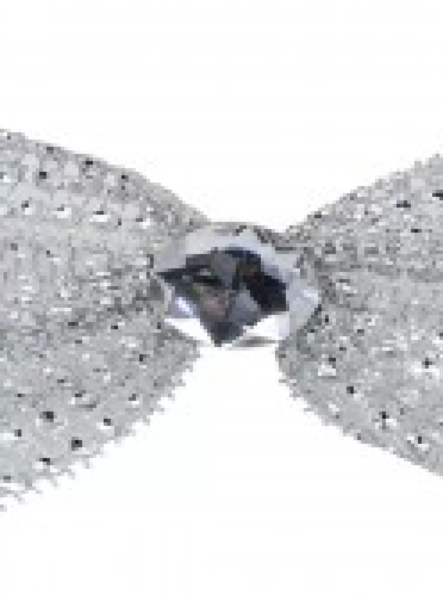 Christmas Warehouse Silver Mesh Bowtie With Diamante Knot Christmas Decorations - 3 X 11Cm> Christmas Bows