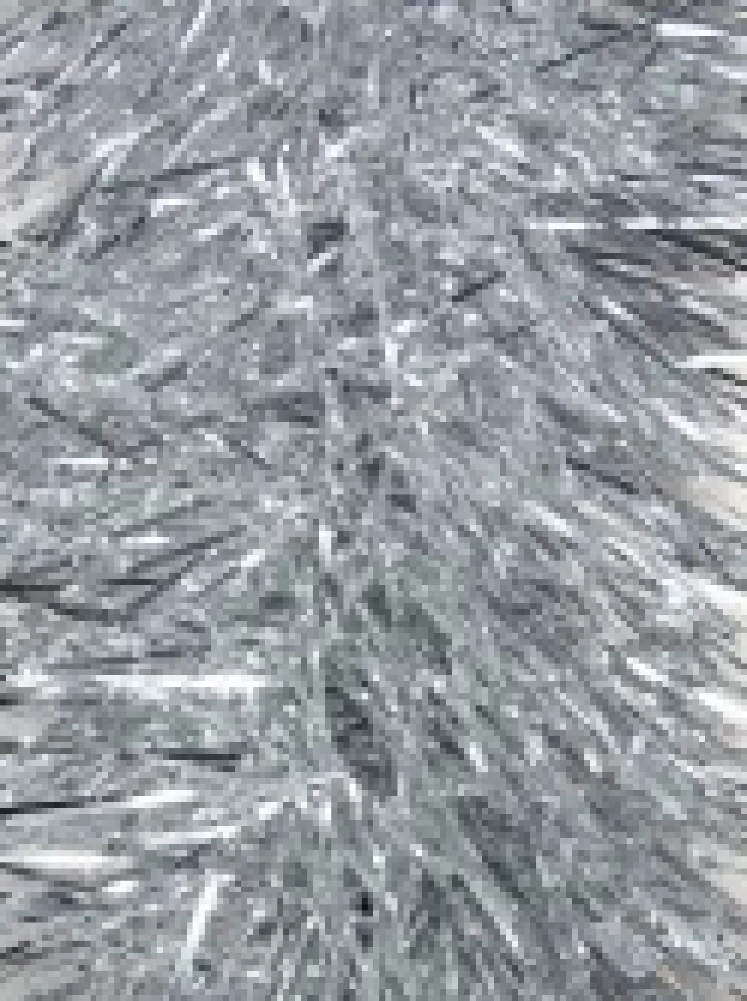 Christmas Warehouse Silver Metallic 8Ply Classic Christmas Tinsel Garland - 15Cm X 5M> Tinsel
