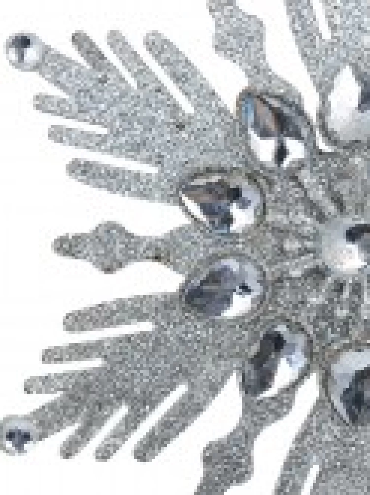 Christmas Warehouse Silver Snowflake With Acrylic Jewels Christmas Tree Hanging Decoration - 13Cm> Hanging Decorations - Individual