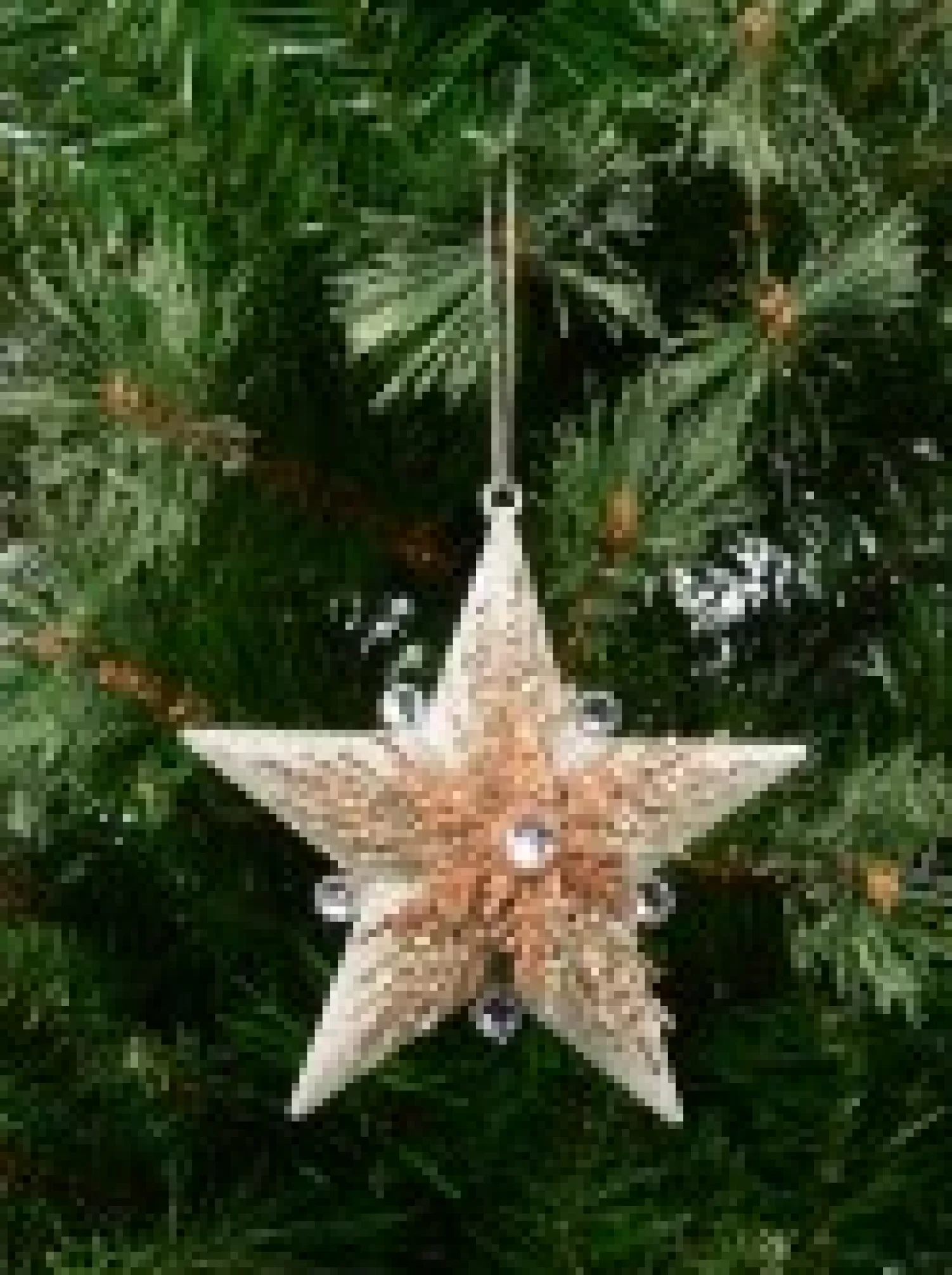 Christmas Warehouse Silver Star With Snowflakes Christmas Tree Hanging Decoration - 13Cm> Hanging Decorations - Individual