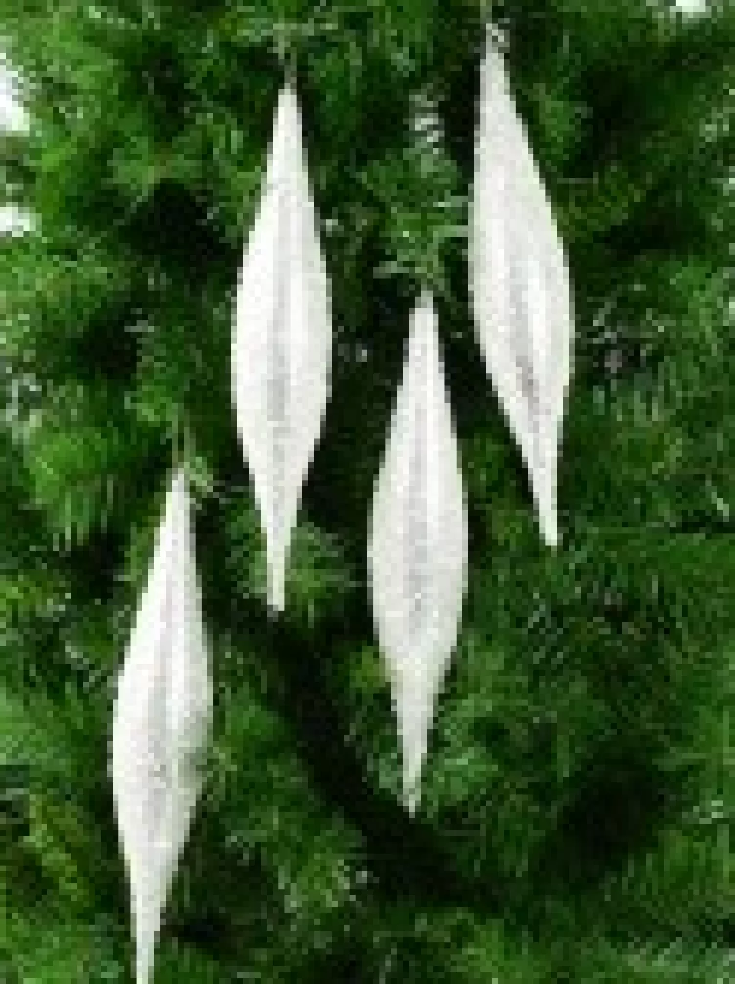 Christmas Warehouse Silver With Frost Look Pine Cone Shape Bauble Hanging Decorations - 4 X 33Cm> Hanging Decorations - Packs