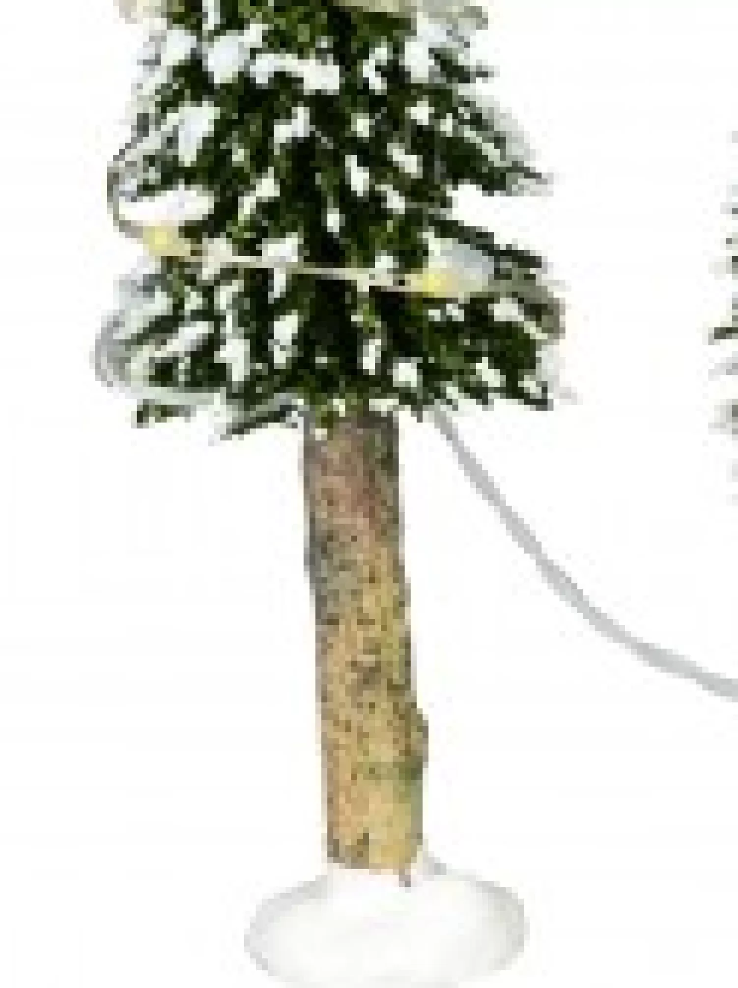 Christmas Warehouse Snow Flocked Illuminated Pine Tree Christmas Village Figurines - 3 X 19Cm> Christmas Village Figurines