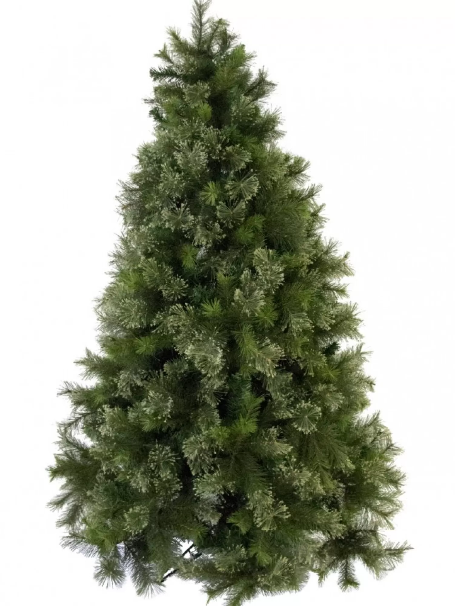 Christmas Warehouse Stratford Mixed Pine Traditional Christmas Tree With 2025 Tips - 2.3M> Traditional Christmas Trees