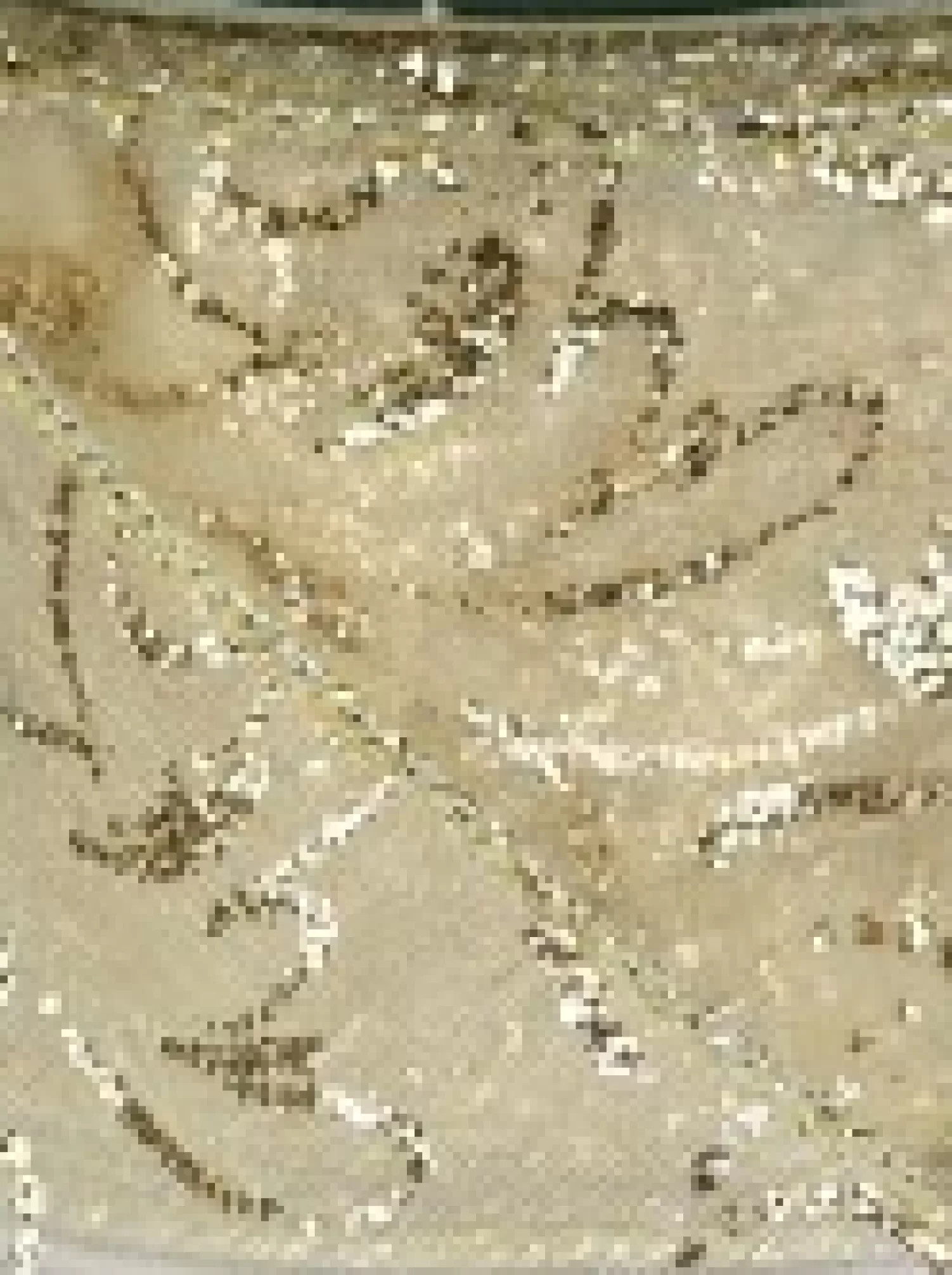 Christmas Warehouse Swirl Pattern Cream On Sheer Christmas Ribbon With Gold Glitter Edging - 3M> Christmas Ribbon