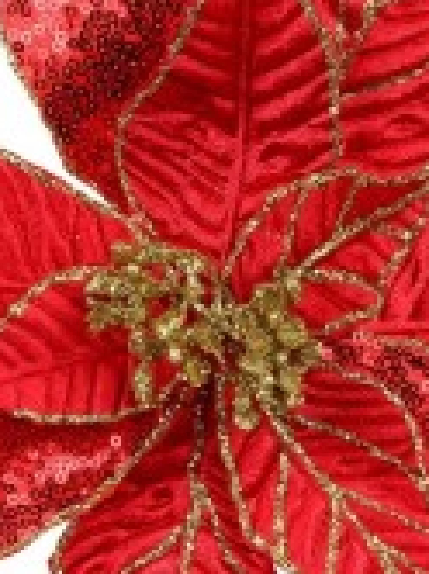Christmas Warehouse Three Style Red & Gold Glitter Poinsettia Christmas Flower Pick - 28Cm> Christmas Picks