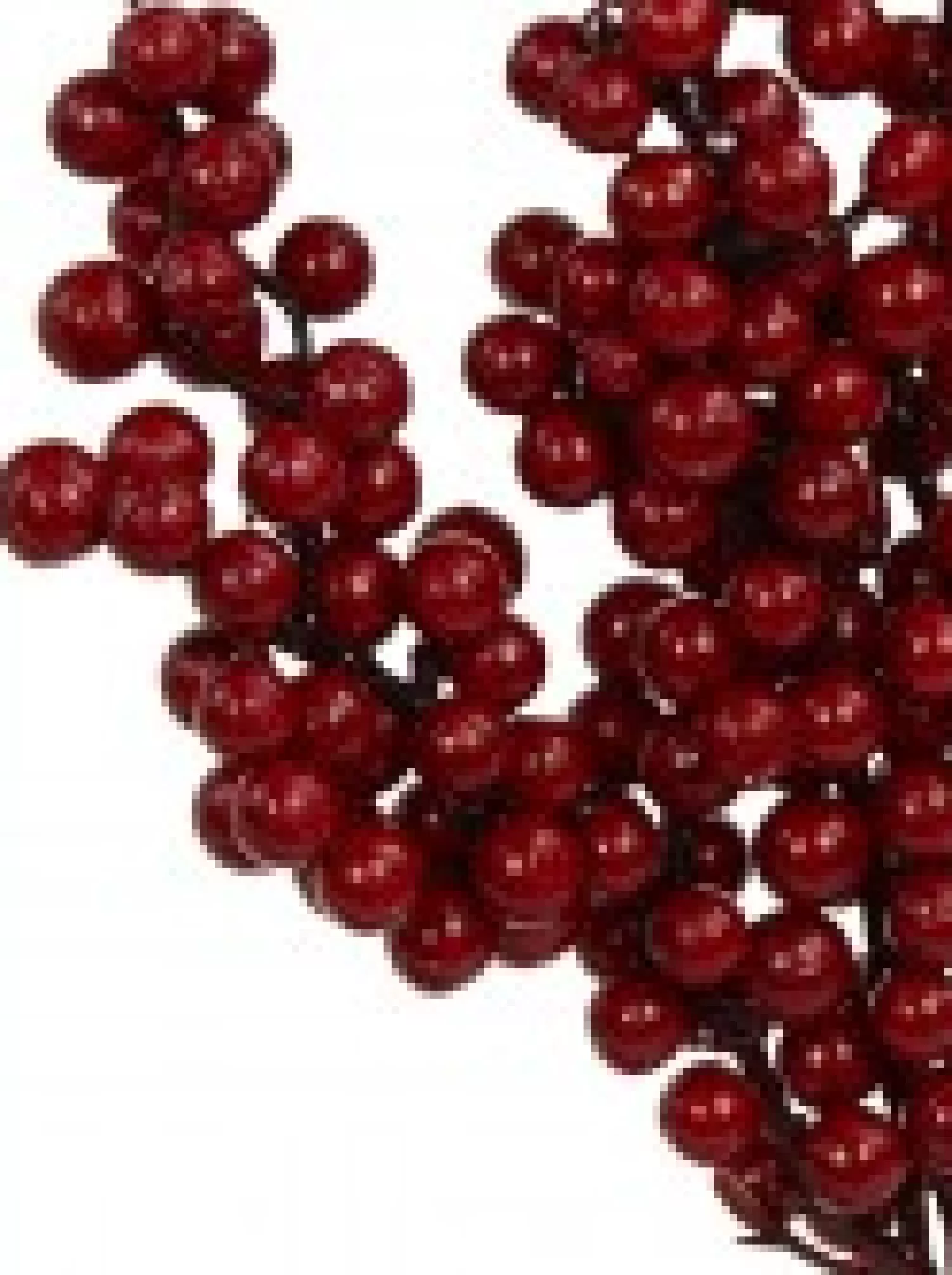 Christmas Warehouse Various Size Deep Red Berries Decorative Christmas Spray Pick - 14Cm> Christmas Picks