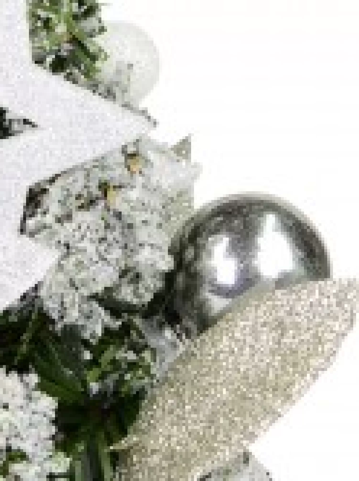 Christmas Warehouse White Poinsettia & Silver Decorations Tabletop Christmas Tree Ornament - 18Cm> Table Top Christmas Trees