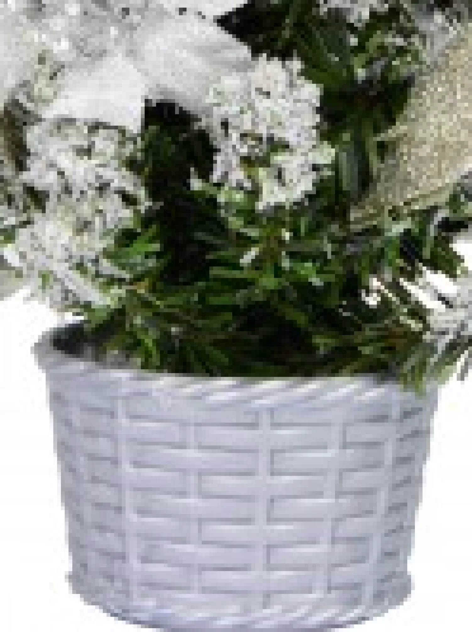 Christmas Warehouse White Poinsettia & Silver Decorations Tabletop Christmas Tree Ornament - 18Cm> Table Top Christmas Trees