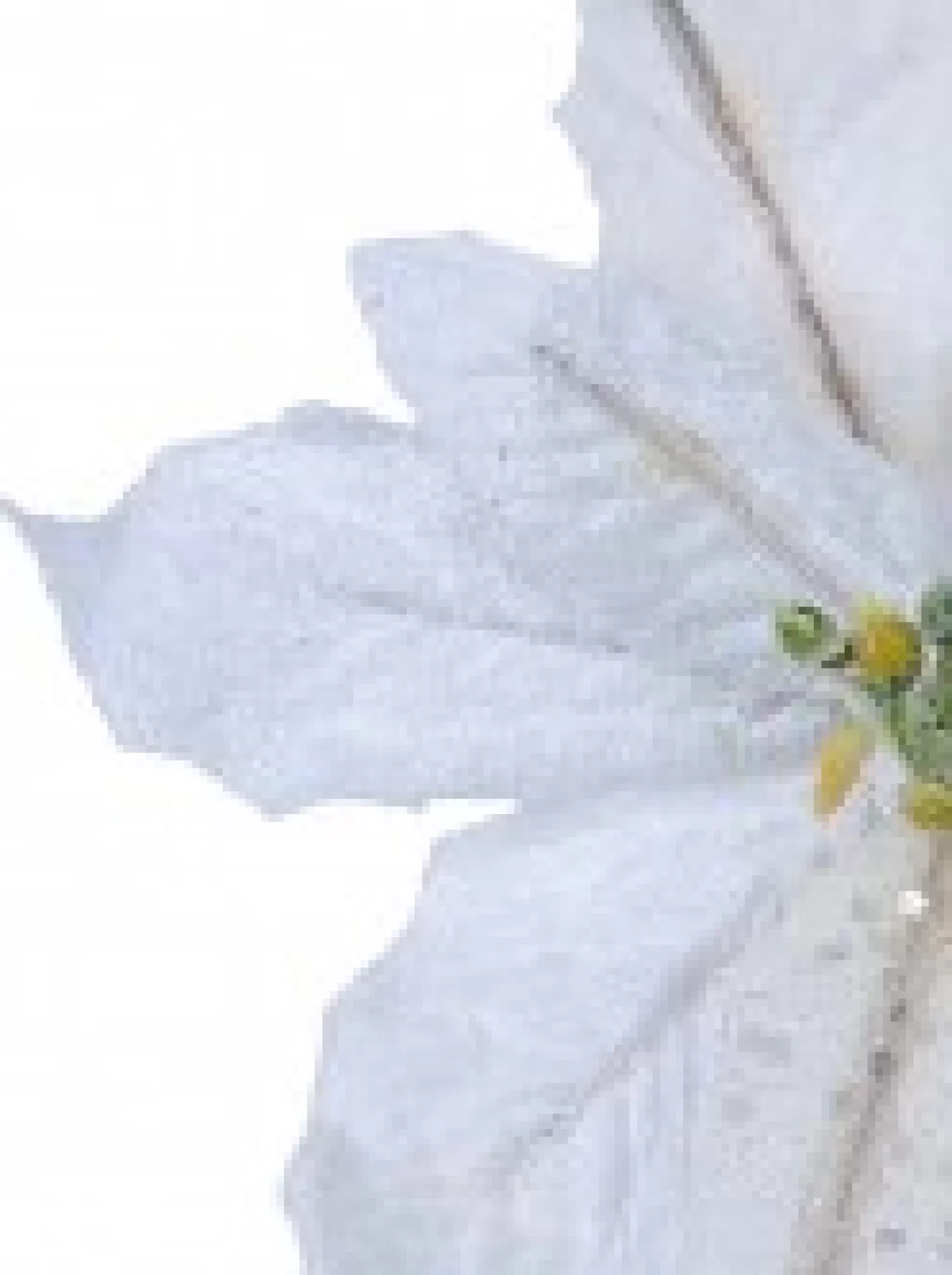 Christmas Warehouse White Sequin & Fabric Petal Poinsettia Decorative Christmas Flower Pick - 14Cm> Christmas Picks