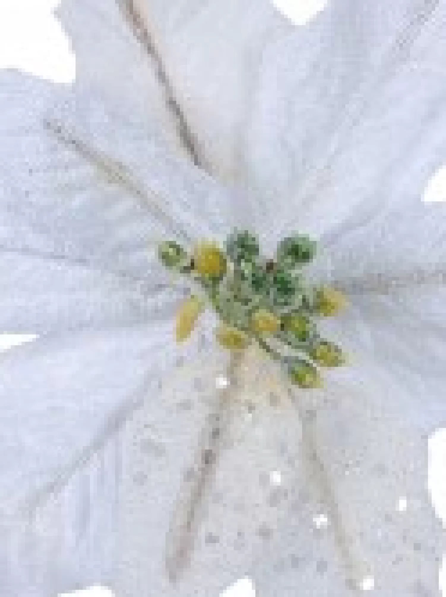 Christmas Warehouse White Sequin & Fabric Petal Poinsettia Decorative Christmas Flower Pick - 14Cm> Christmas Picks