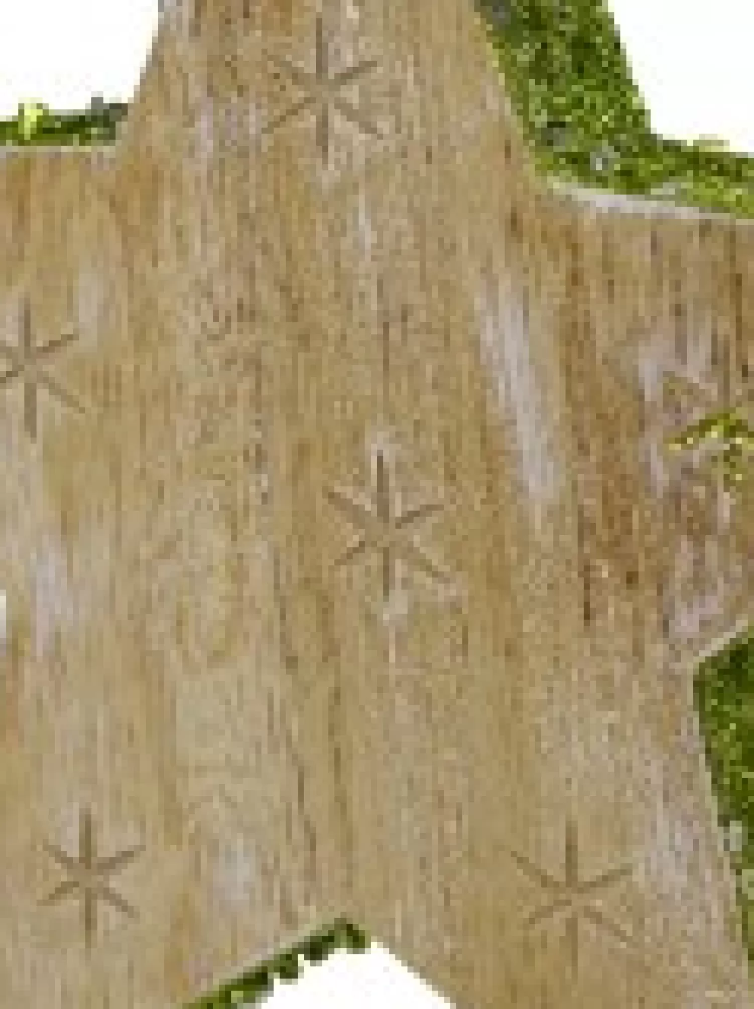 Christmas Warehouse Wood Star With Green Glitter Trim Christmas Tree Hanging Decoration - 12Cm> Hanging Decorations - Individual